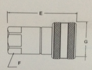 Female Part Drawing